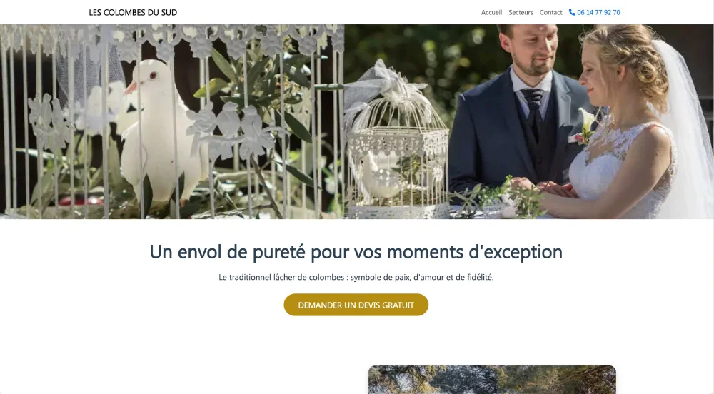 Aperçu du site Les Colombes du Sud